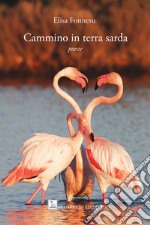 Cammino in terra sarda libro