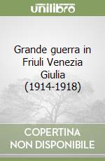 Grande guerra in Friuli Venezia Giulia (1914-1918) libro