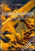 Castellamonte. Il passato e il presente di una città in trasformazione