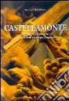 Castellamonte. Il passato e il presente di una città in trasformazione libro di Antoniono Giacomo