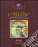 I «pillon» segni di religione storia, tradizione ed arte nei territori di Rivarolo Canavese Favria e Feletto. Ediz. illustrata libro