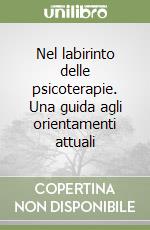 Nel labirinto delle psicoterapie. Una guida agli orientamenti attuali libro