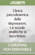 Clinica psicodinamica delle depressioni. Le scuole analitiche si incontrano libro