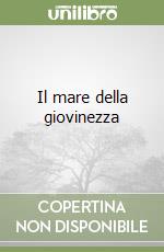 Il mare della giovinezza libro