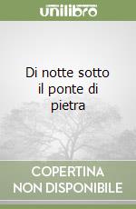 Di notte sotto il ponte di pietra libro