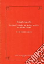 Principal G-bundles and abelian varieties: the Hitchin System