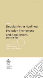 Singularities in nonlinear. Evolution phenomena and applications, proceedings libro