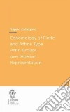 Cohomology of finite and affine type Artin groups over abelian representations libro