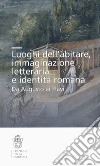 Luoghi dell'abitare, immaginazione letteraria e identità romana. Da Augusto ai Flavi libro