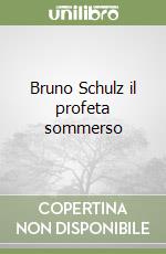 Bruno Schulz il profeta sommerso libro