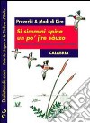 Si simmini spine un po' jire sàuzo-Se semini spine non puoi andare scalzo. Proverbi & modi di dire. Calabria libro