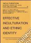 Effective inculturation and ethnic identity libro