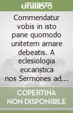 Commendatur vobis in isto pane quomodo unitetem amare debeatis. A eclesiologia eucaristica nos Sermones ad populum de Agostinho de Hipona e o movimento ecumênico libro