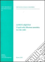 Sapiens aequitas. L'equità nella riflessione canonistica tra i due codici