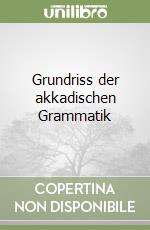 Grundriss der akkadischen Grammatik libro