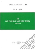 Job in the light of northwest semitic. Vol. 1