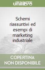 Schemi riassuntivi ed esempi di marketing industriale libro