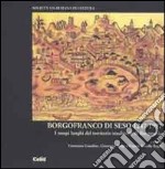 Borgofranco di Seso. I tempi lunghi del territorio medievale di Borgosesia libro