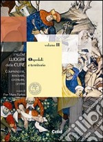 I nuovi luoghi delle cure. Comprendere, innovare, costruire, gestire. Vol. 2: Ospedale e territorio libro