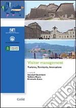 Visitor management. Turismo, territorio, innovazione libro