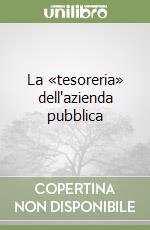 La «tesoreria» dell'azienda pubblica