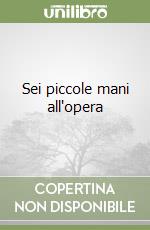 Sei piccole mani all'opera (1) libro