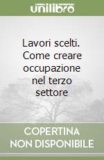 Lavori scelti. Come creare occupazione nel terzo settore libro