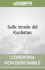 Sulle strade del Kurdistan libro