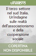 Il terzo settore nel sud Italia. Un'indagine sulle realtà dell'associazionismo e della cooperazione sociale libro