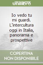 Io vedo tu mi guardi. L'intercultura oggi in Italia, panorama e prospettive