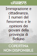 Immigrazione e cittadinanza. I numeri del fenomeno e le opinioni dei giovani della provincia di Belluno