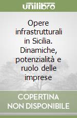 Opere infrastrutturali in Sicilia. Dinamiche, potenzialità e ruolo delle imprese libro