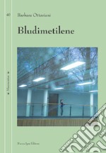 Bludimetilene libro