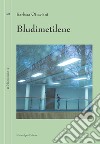 Bludimetilene libro