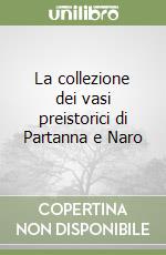 La collezione dei vasi preistorici di Partanna e Naro