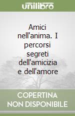 Amici nell'anima. I percorsi segreti dell'amicizia e dell'amore libro