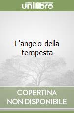 L'angelo della tempesta libro