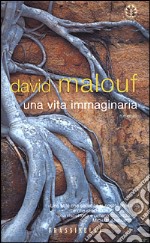 Una vita immaginaria libro