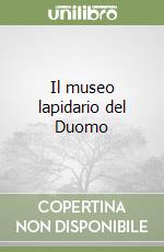 Il museo lapidario del Duomo libro