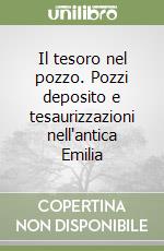 Il tesoro nel pozzo. Pozzi deposito e tesaurizzazioni nell'antica Emilia libro