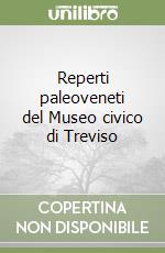 Reperti paleoveneti del Museo civico di Treviso libro