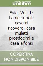 Este. Vol. 1: La necropoli: casa di ricovero, casa muletti prosdocimi e casa alfonsi libro