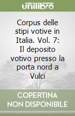 Corpus delle stipi votive in Italia. Vol. 7: Il deposito votivo presso la porta nord a Vulci libro