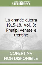 La grande guerra 1915-18. Vol. 3: Prealpi venete e trentine libro