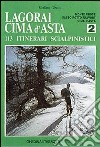 Lagorai Cima d'Asta. 113 itinerari scialpinistici. Vol. 2: Monte Croce, Sasso Rotto-Fravort, Cima d'asta libro