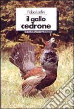 Il gallo cedrone libro