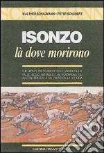 Isonzo. Là dove morirono sul fronte più cruento della grande guerra. Le 12 battaglie che portarono le potenze centrali solo a un passo dalla vittoria libro