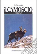 Il camoscio delle Alpi libro