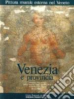 Pittura murale esterna nel Veneto. Vol. 2: Venezia e provincia libro