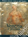 Pittura murale esterna nel Veneto. Vol. 2: Venezia e provincia libro